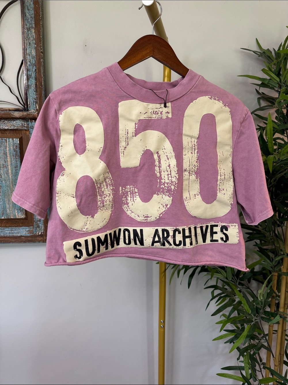 Sumwon 850 Graphic Crop Tee in Dusty Mauve